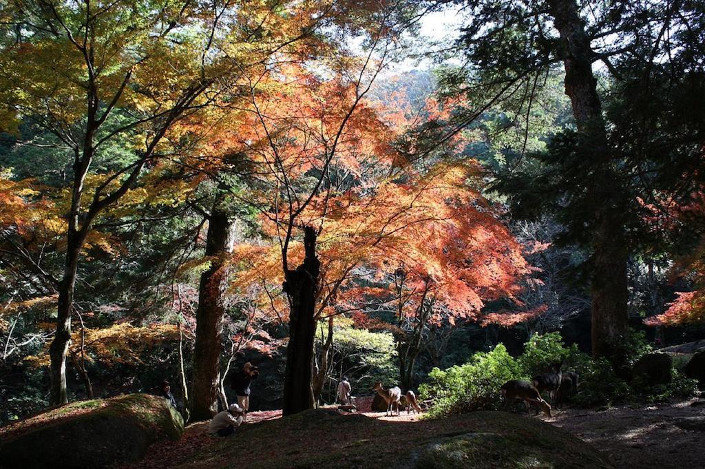 Sakuraya Hotel Hatsukaichi Bagian luar foto